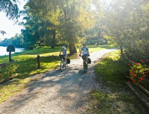 Mednarodna konferenca “Turizem za vse kot razvojna in naložbena priložnost v Podonavju”