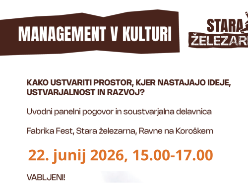Management v kulturi